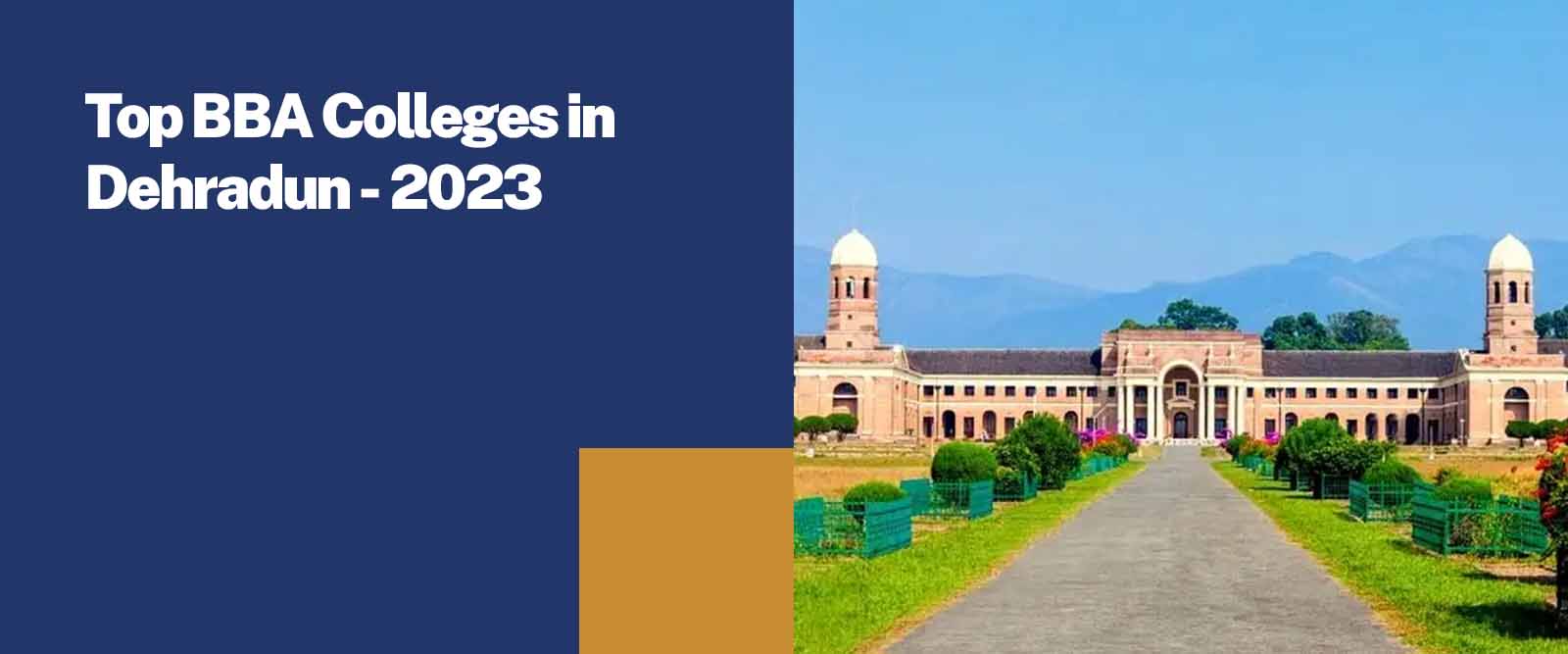 best university for bba in dehradun