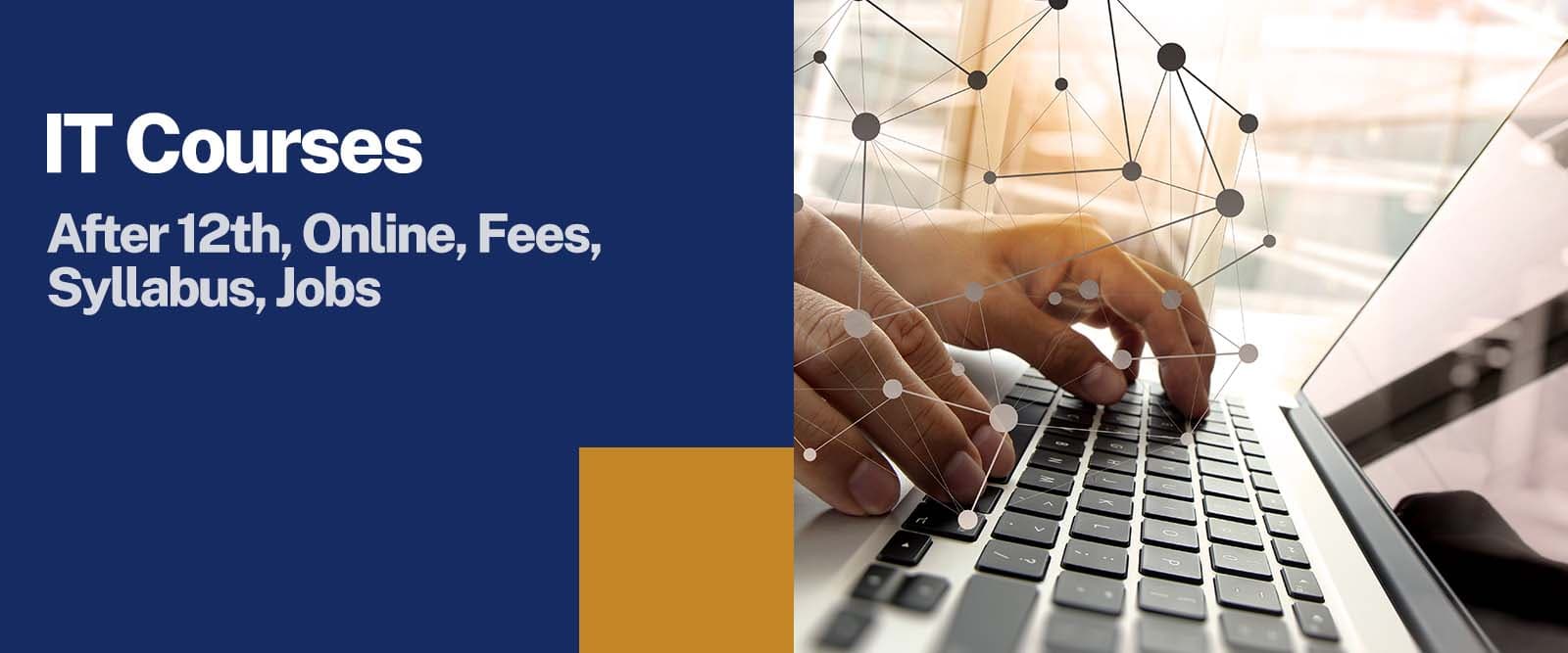 it courses after twelfth