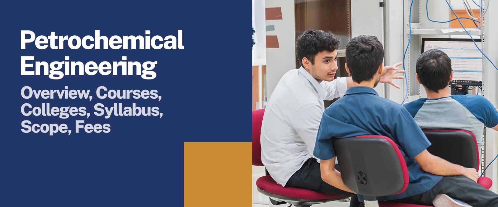 Petrochemical Engineering Courses, Syllabus & Scope