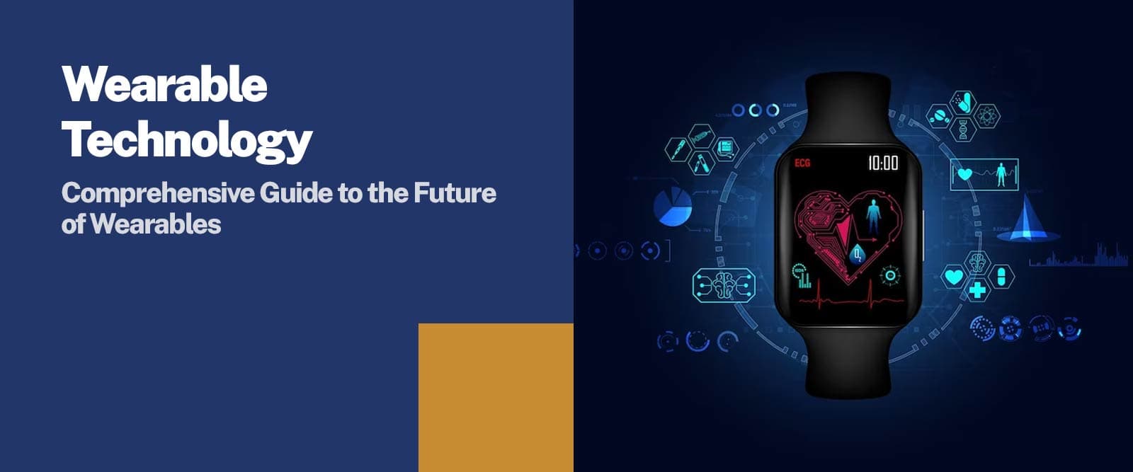 wearable technology guide